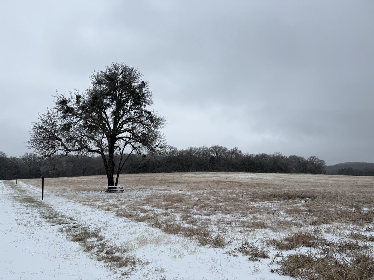 ☠️🥃Toxic Tex🥃 ☠️ tweet media