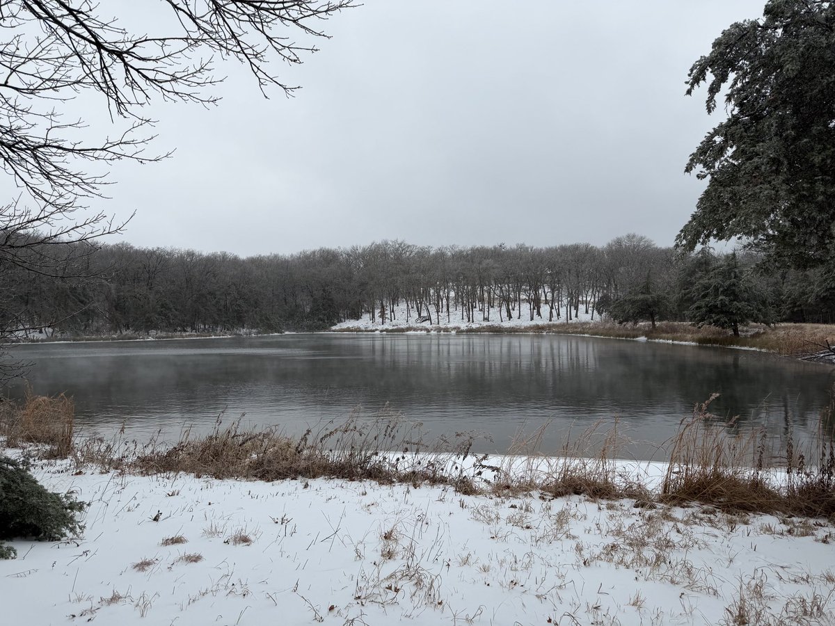 ☠️🥃Toxic Tex🥃 ☠️ tweet media