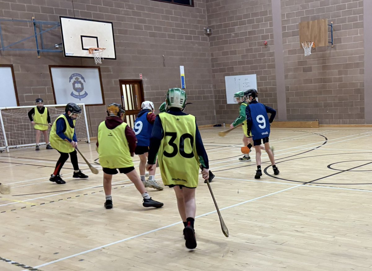 Fermanagh GAA Coaching & Games tweet media