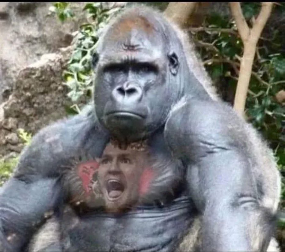 FiverMMA's tweet photo. Me currently, at work knowing I’m only a few hours away from getting off and watching #UFC324 https://t.co/g0GGRwGPhx