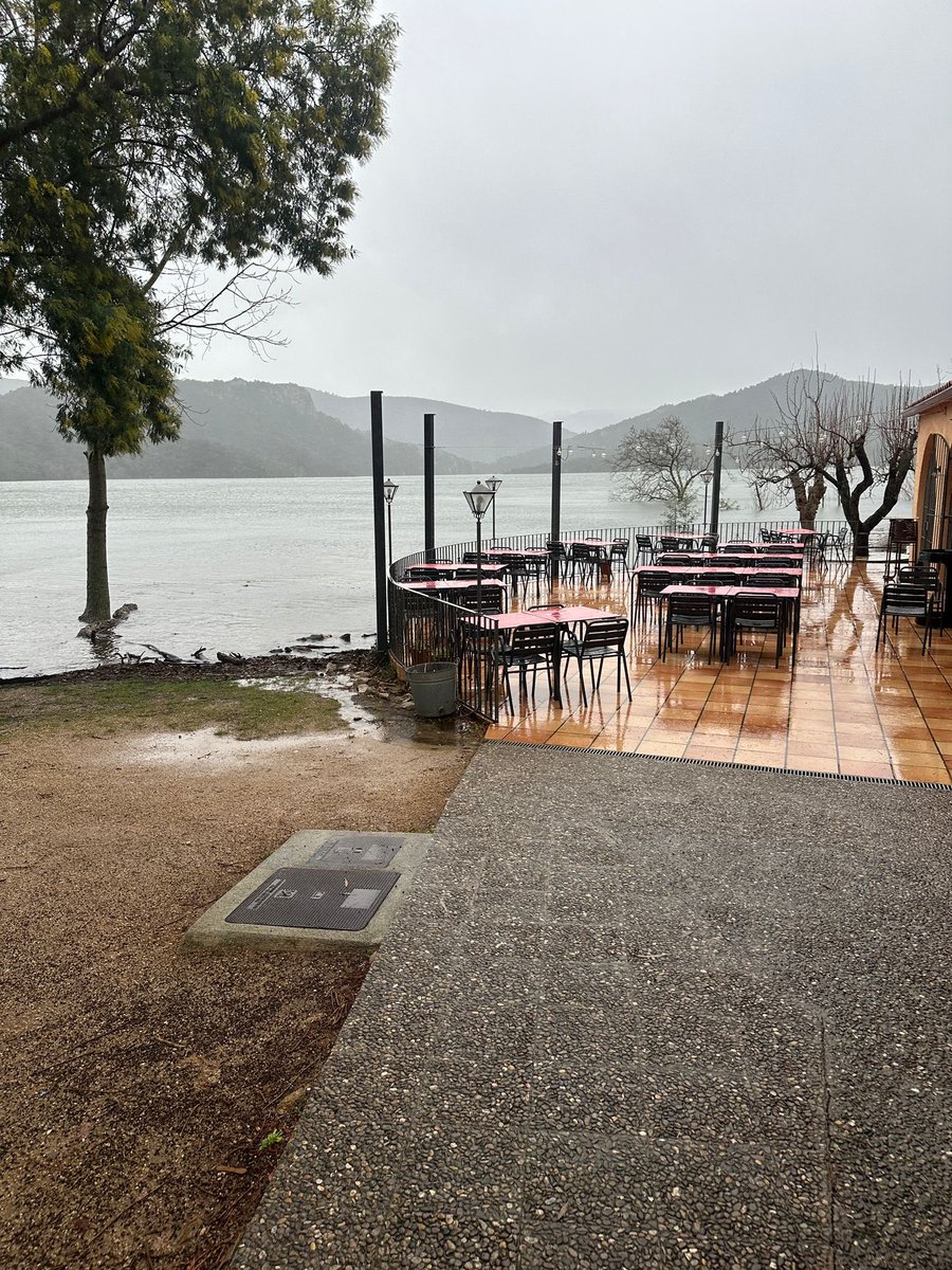 Tramuntana Televisió tweet media