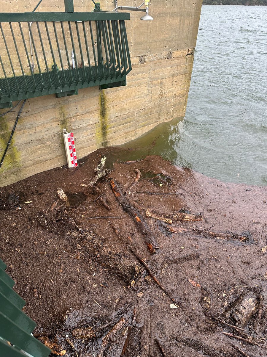 Tramuntana Televisió tweet media