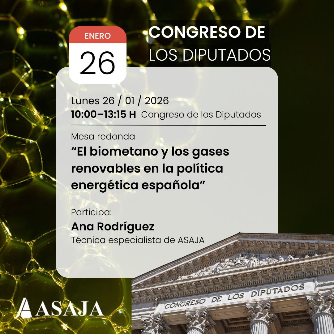 📅 26/01/2026 🕙 10:00–13:15 h 📍 <a href="/Congreso_Es/">Congreso</a>

En la mesa sobre biometano y gases renovables intervendrá Ana Rodríguez (ASAJA).

El debate analizará:
♻️ economía circular
🚜 gestión de residuos agrarios
📍 impacto en el medio rural