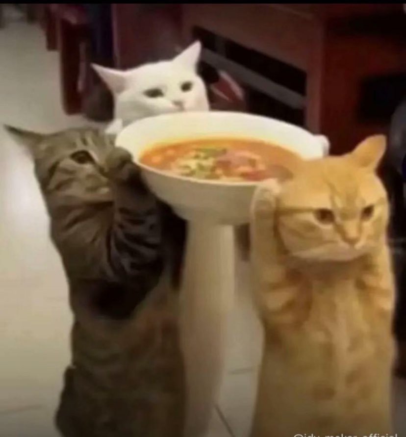 Pousse leen bala ngen di tour sopou Dr Wawa bi