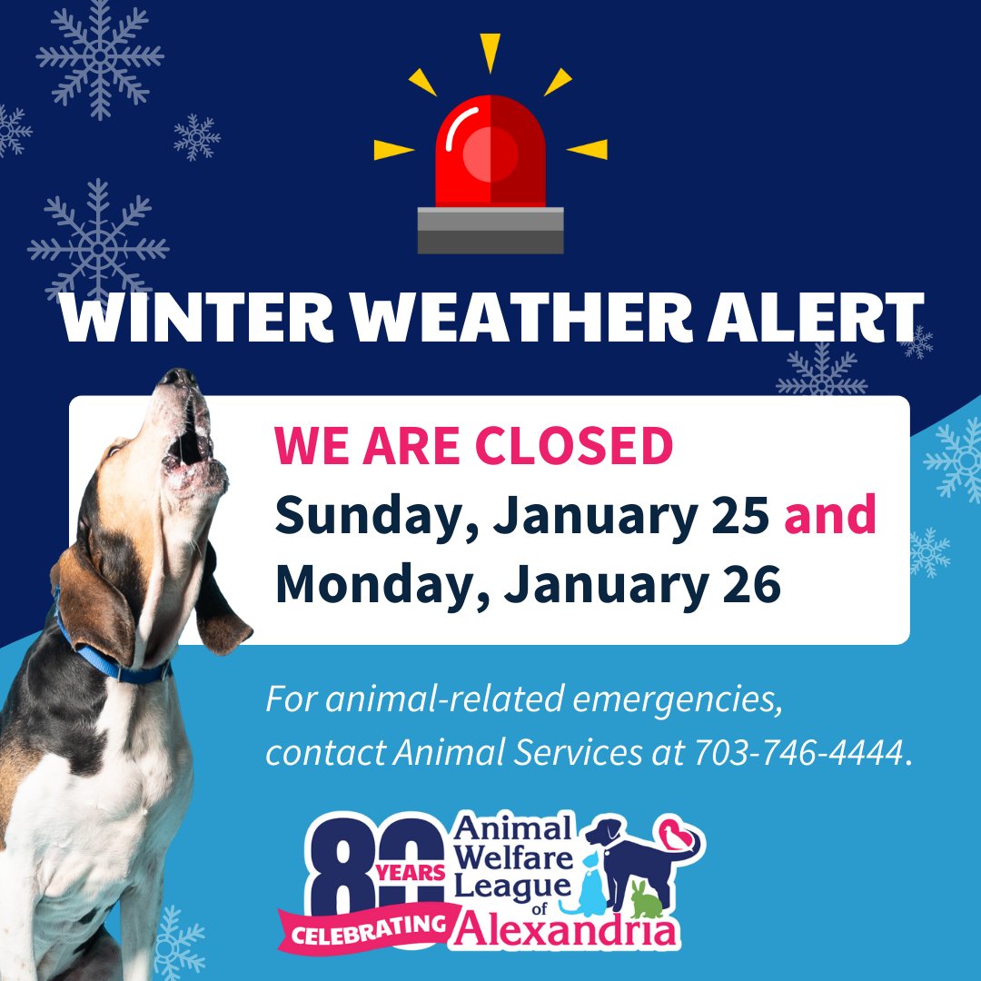 AWLA Alexandria tweet media