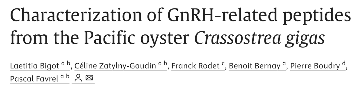 _aestheticprimal_ tweet media