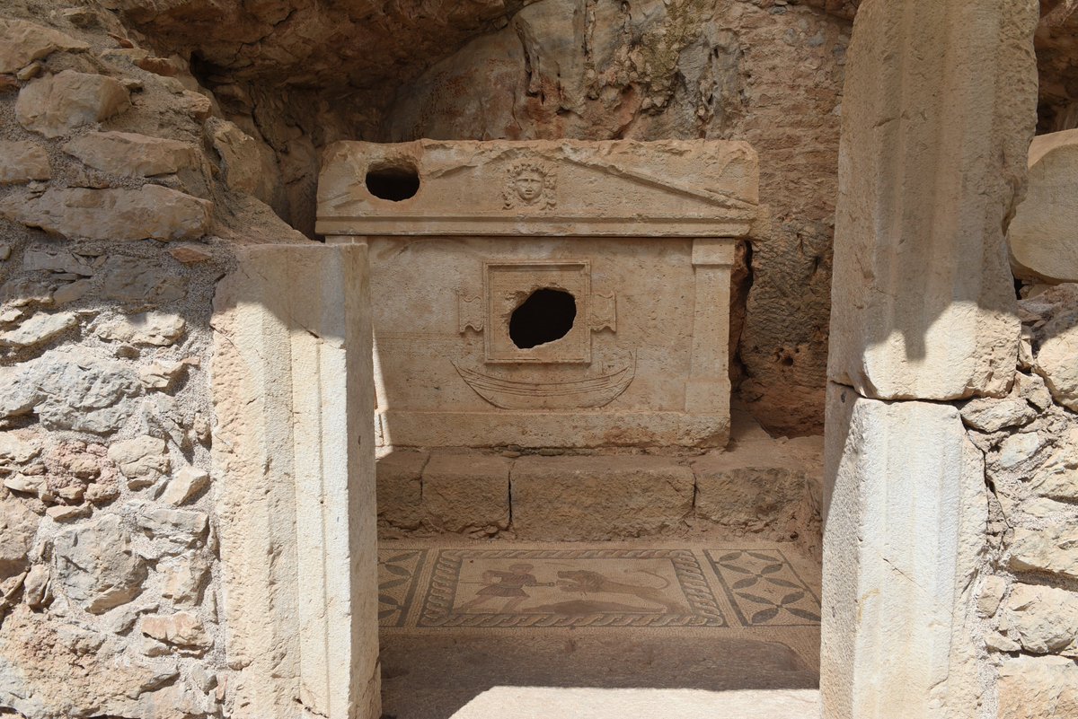 olymposkazisi tweet picture