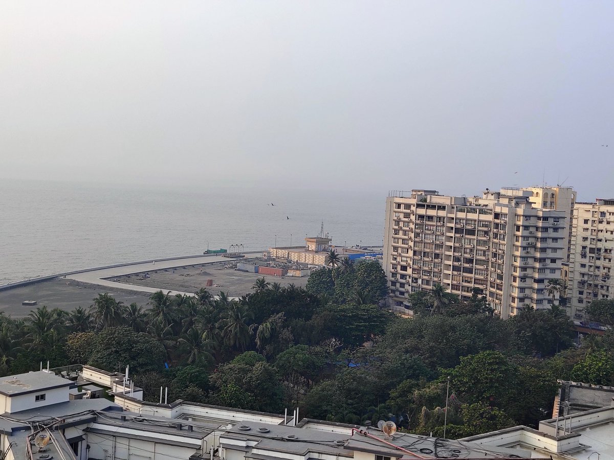 Nepeansea Road: Mumbai has got a golden opportunity to create quality open spaces due to Reclamation. Hidden amidst the trees is a MSRDC plot. 
BMC &amp; MSRDC should join hands and build something that Mumbai is proud of. No more construction. The city has enough of it.