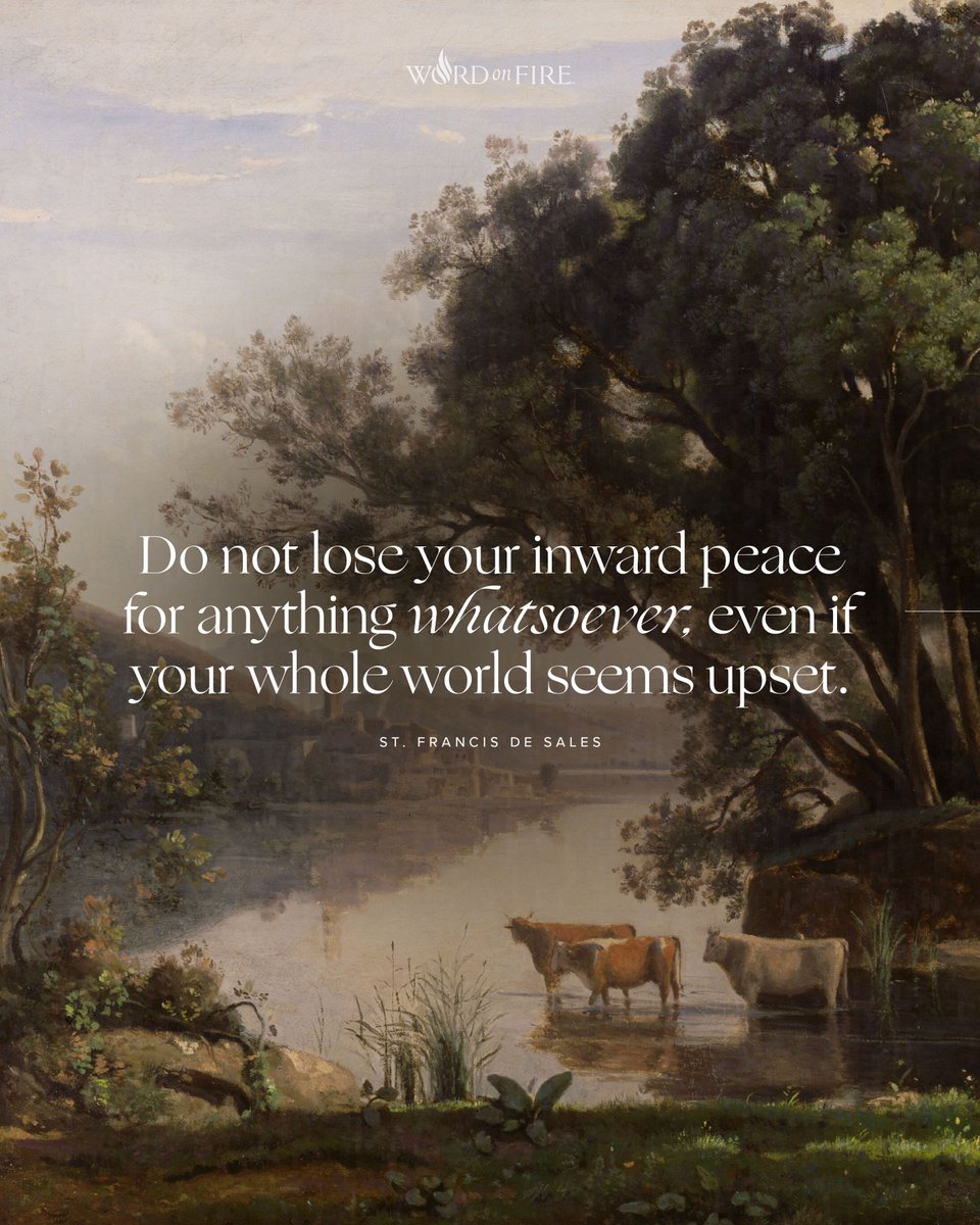 Bishop Robert Barron tweet media