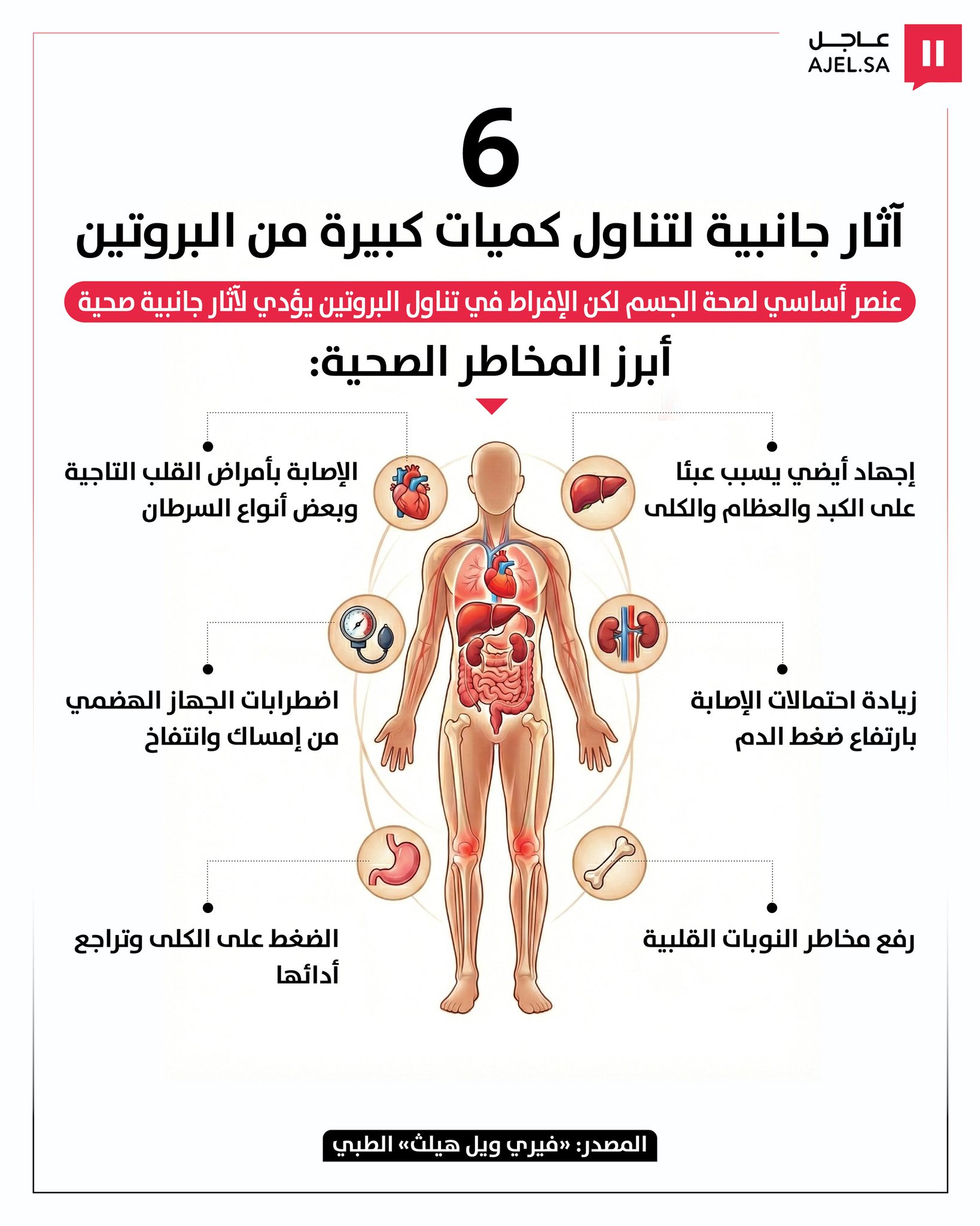 الوجه الآخر لـ "هوس العضلات".. 6 مخاطر صحية جسيمة يسببها الإفراط في تناول البروتين 