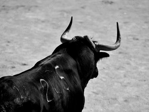 Animalismo: la moral que desprecia al ser humano
tinyurl.com/ms96cwrz
