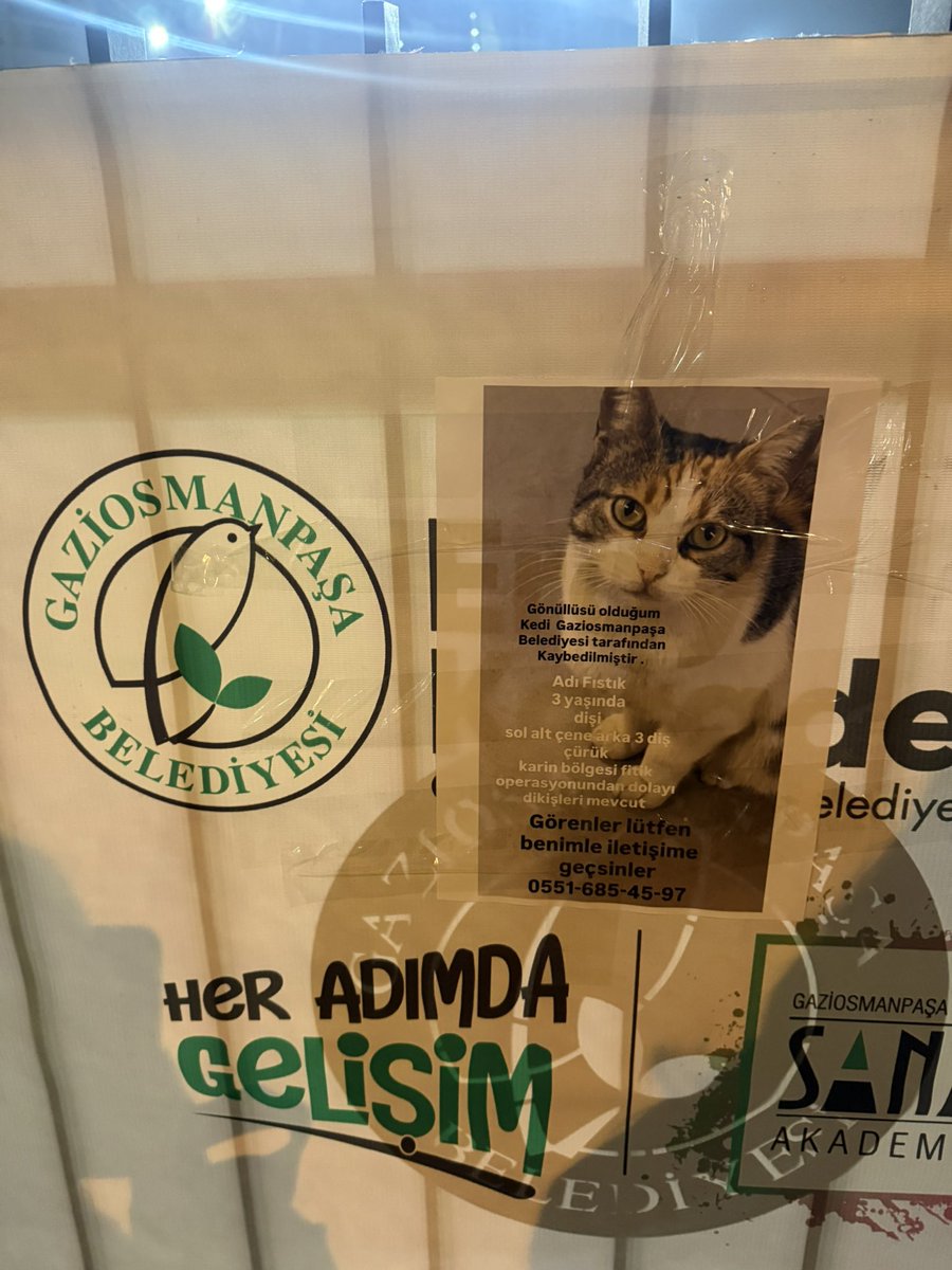 suletrkmnn's tweet image. aramaya devam ediyorum ama gücüm kalmadı artık