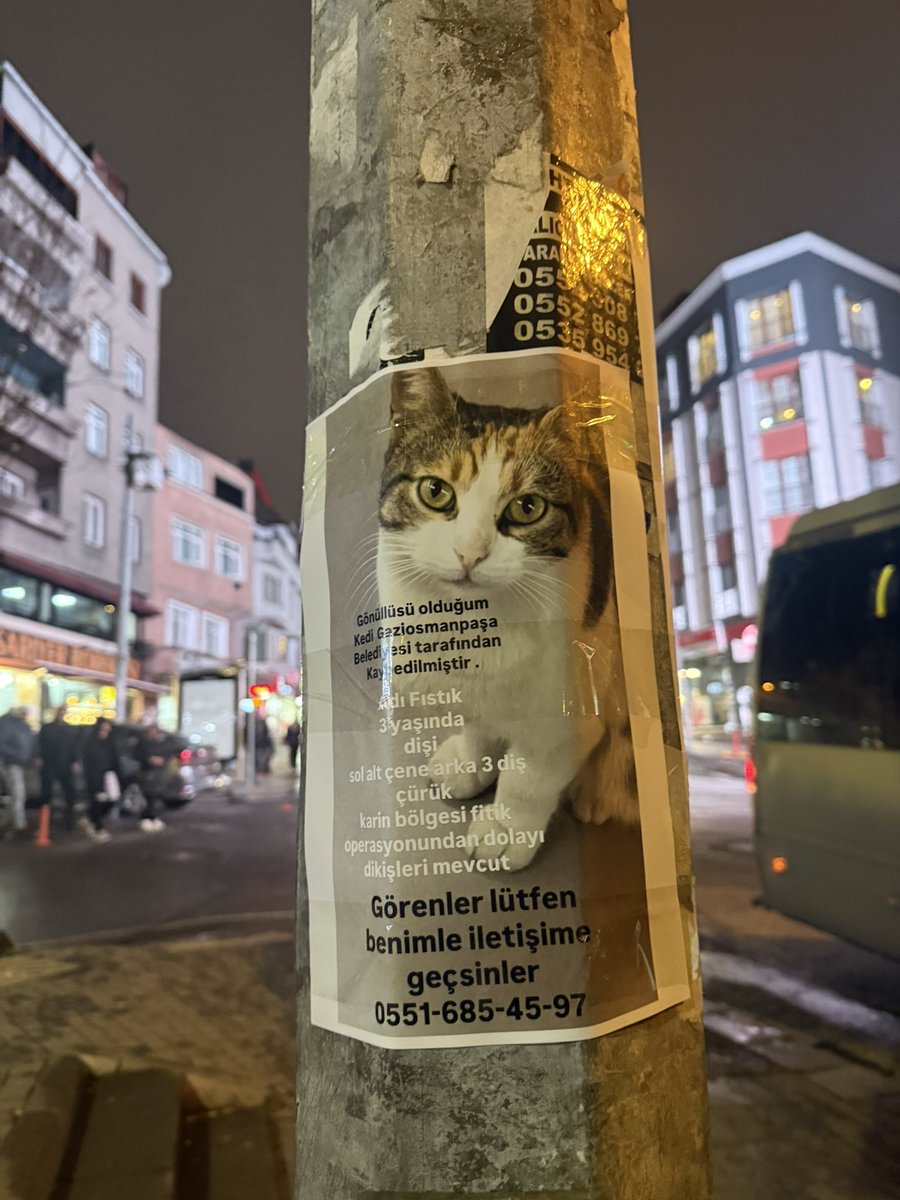 suletrkmnn's tweet image. aramaya devam ediyorum ama gücüm kalmadı artık