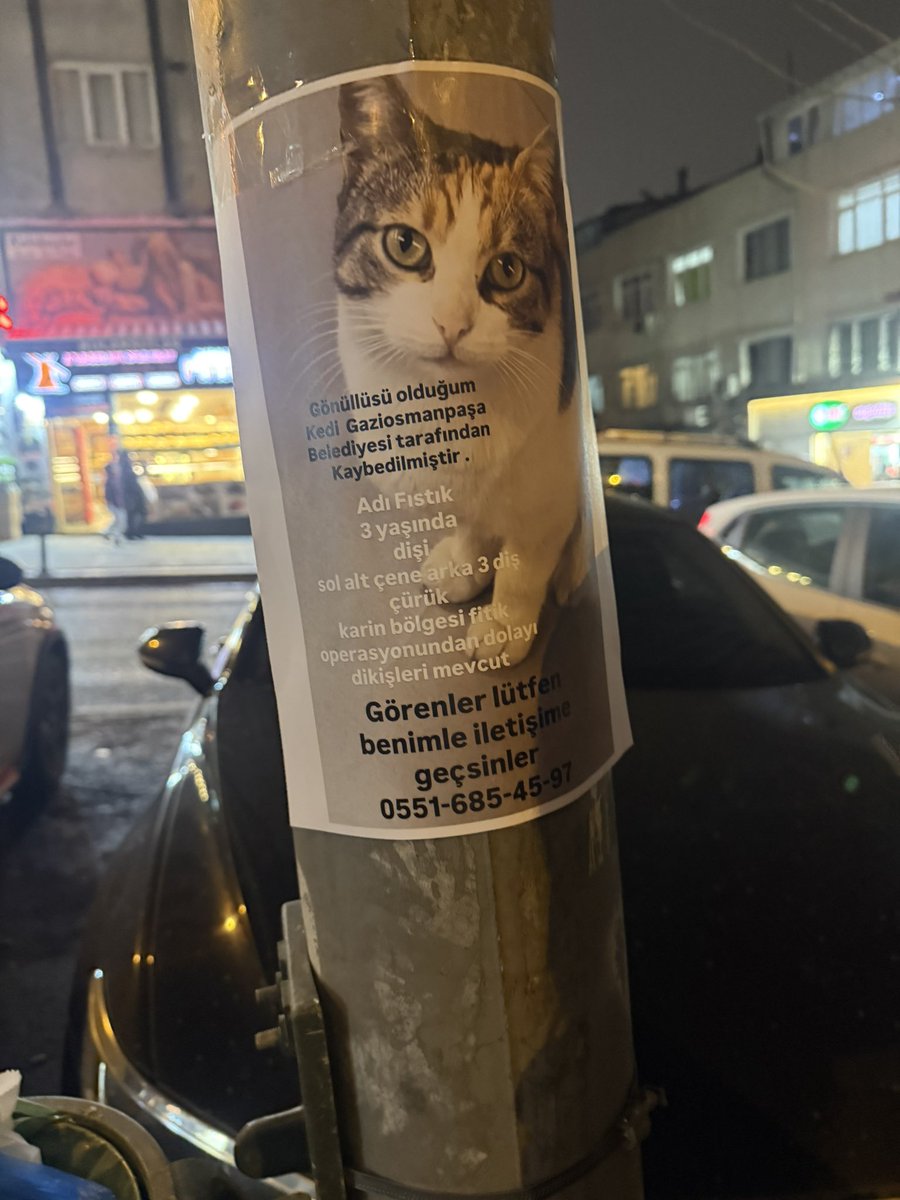 suletrkmnn's tweet image. aramaya devam ediyorum ama gücüm kalmadı artık