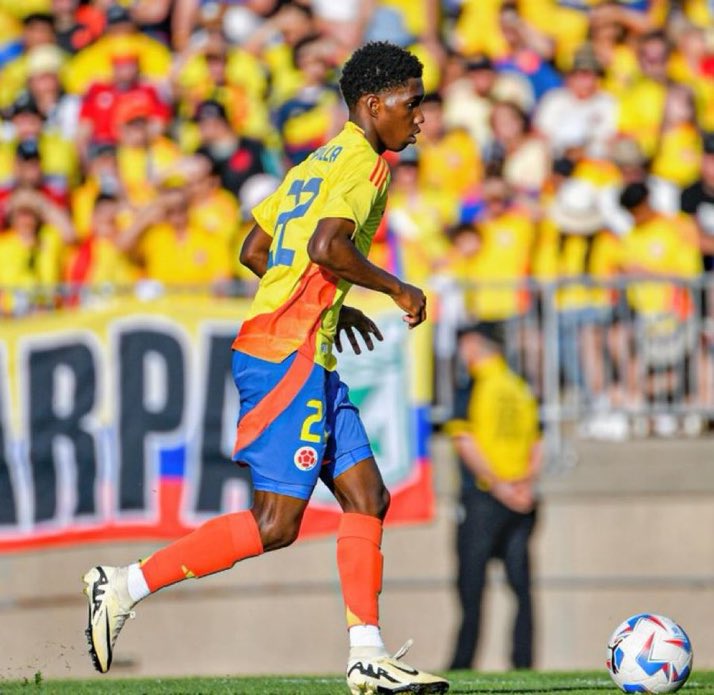 Haluk Yürekli: "Yaser Asprilla, Davinson Sanchez'e sorulmuş."