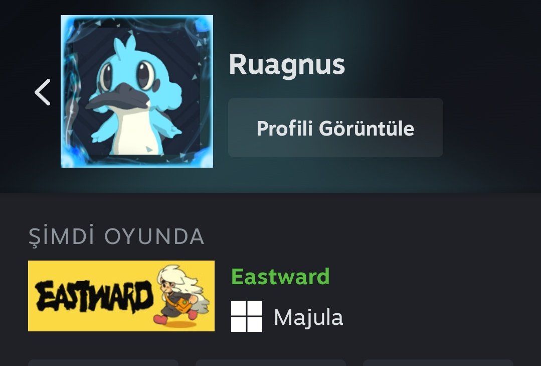 Dark Souls 2'yi ne kadar çok seviyorsun derlerse rog allyımın adını Majula koyucak kadar diyicem