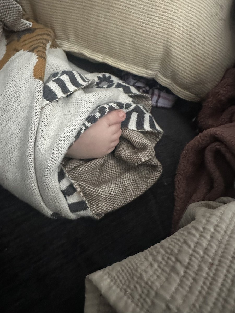 Prisha Mosley🦎 tweet media