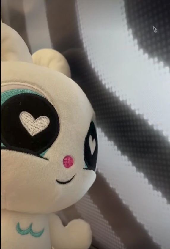 버니즈동아리🐰