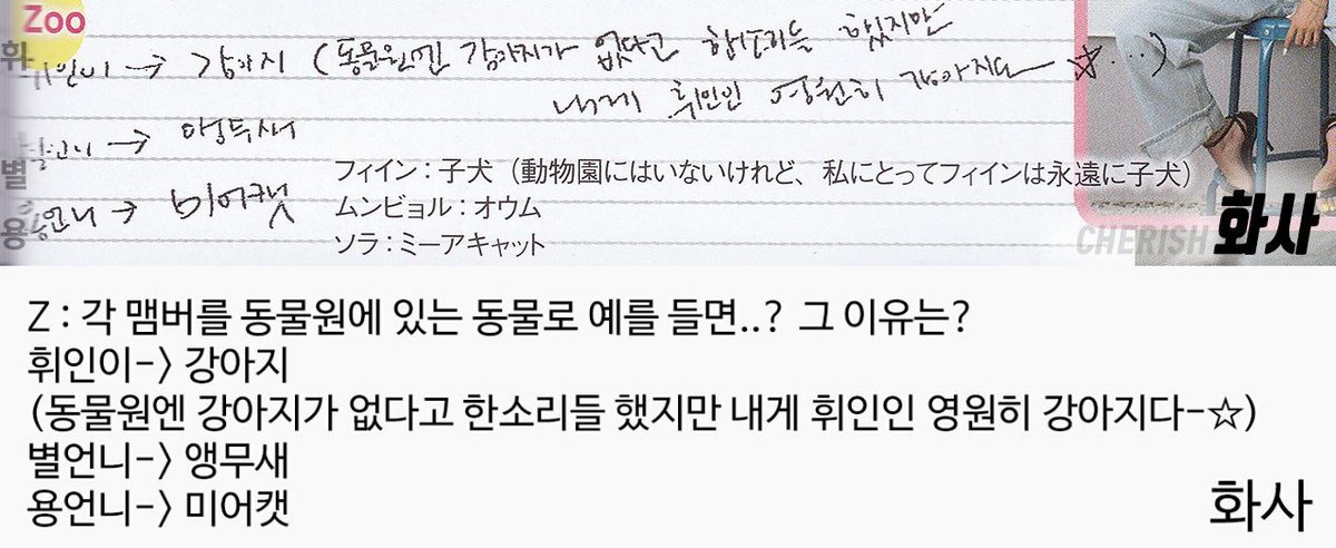 181002 MAMAMOO Haru Hana A to Z Q&amp;A

Z: If you were to compare each member to an animal in a zoo...? Why?

Hwasa:
Wheein-i -> Puppy
(People say there are no puppies in zoos, but to me, Wheein will always be a puppy -☆)
Byul unnie (MoonByul)-> Parrot
Yong unnie (Solar) -> Meerkat