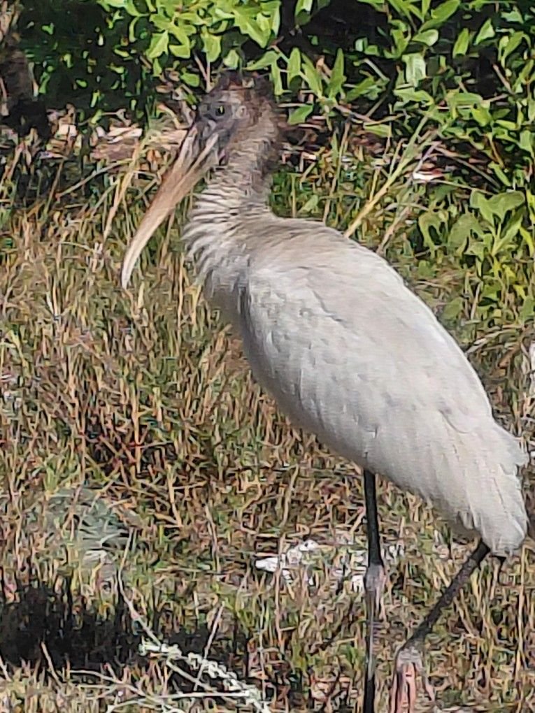 NeedlessToSay's tweet image. 