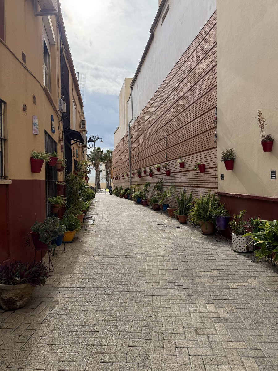 FranzVanPelt's tweet photo. Hay que ser acomplejado para ver esto y decir que la plaza de San Pablo de Málaga no duraría así, dando a entender que los vecinos se la cargarían.

Mientras, en la vida real, los vecinos de la Trinidad tienen los accesos a dicha plaza  impecables.

“Malagueños” estigmatizando 🥱 https://t.co/H4ngFBFvJM