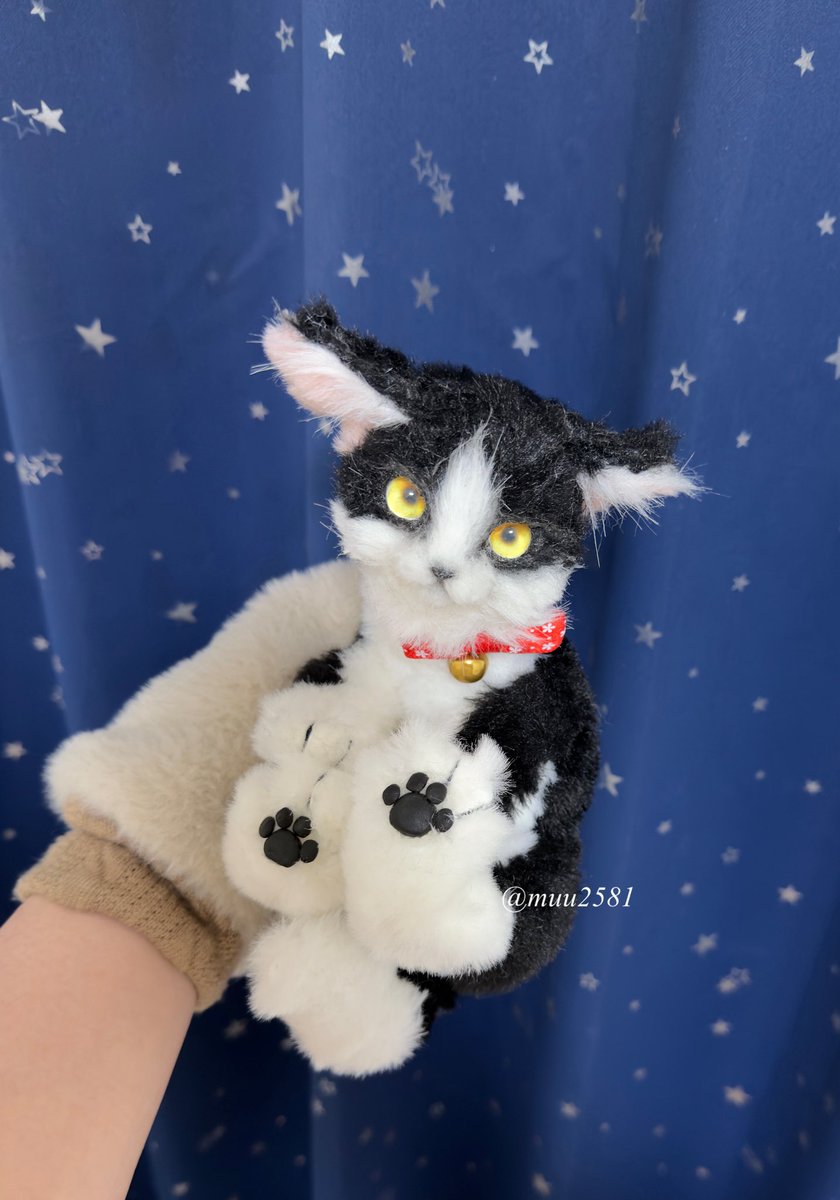 怒ってるハチワレ猫ちゃんฅ^•ω•^ฅ
素敵なお迎え先が決まりました！
ありがとうございました🙏💕

#アートドール #ネコ