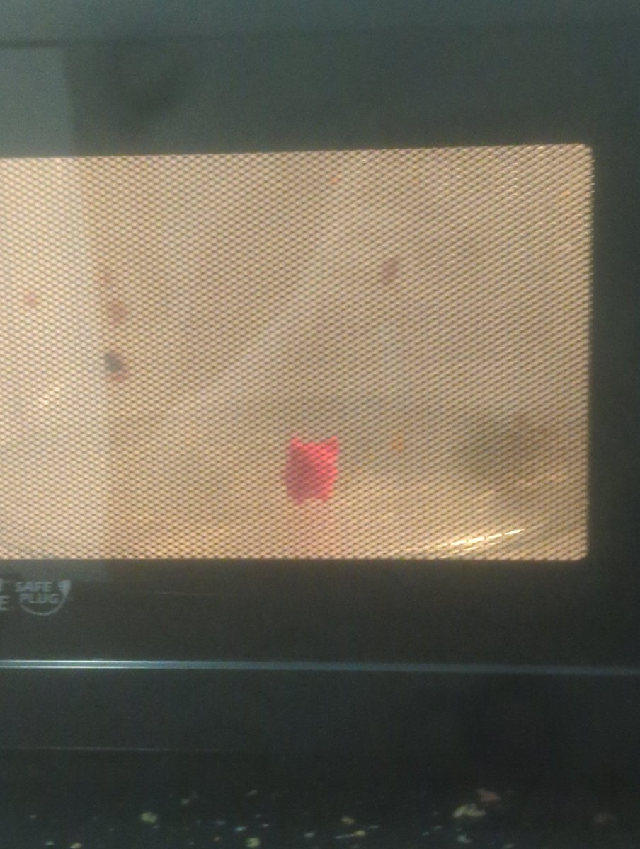 Day 2 of my 3D printed Shibling in a weird spot!