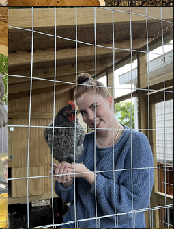 Code names HAH. Meet Amanda Noelle Koehler, one of the admins of the MN ICE Watch signal chat group. She believes that property damage isn't violence, was a campaign strategist for Tim Walz, and organizes a lot of the protests and walkouts in the area.