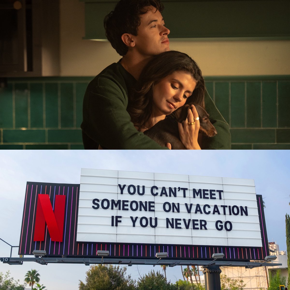 netflix's tweet image. live life the poppyalex way