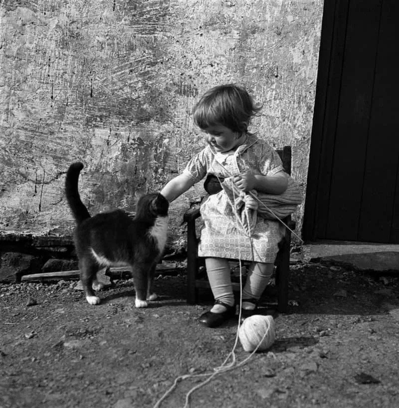 Catholic Pebble tweet media