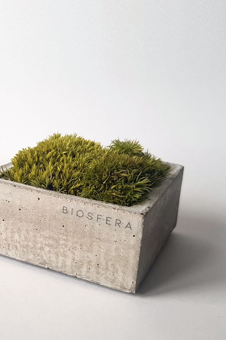 4AAAAart's tweet image. Concrete and Moss*