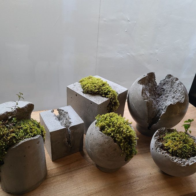 4AAAAart's tweet image. Concrete and Moss*