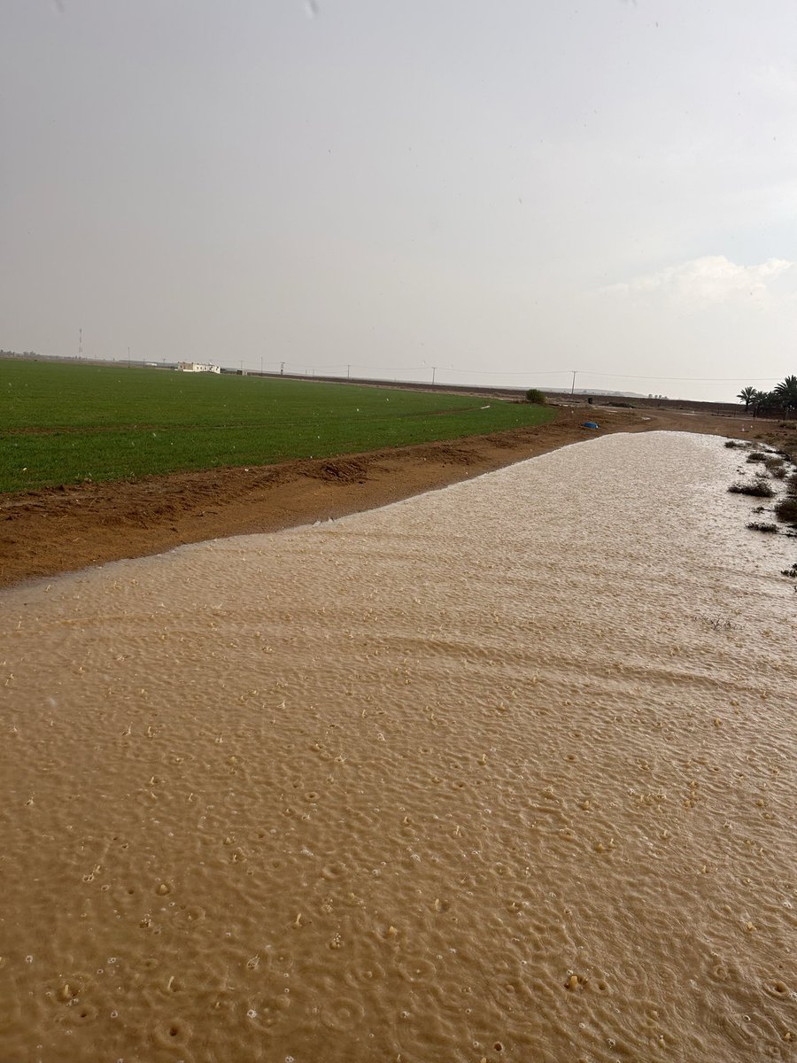 امطار اليوم ولله الحمد