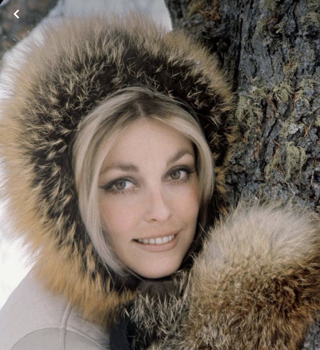 #SharonTate 

Happy heavenly birthday, Sharon. Your radiant beauty, gentle spirit, and luminous talent continue to touch hearts and light up screens decades later. May you rest in eternal peace and grace.