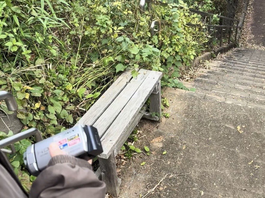 ごめんなさいこんな時間ですが、、、(あまりに言いたかった！)
新作映画を撮ります໒꒱໒꒱ 
なんかわたしの頭がはちきれそうなくらいうれしい映画です！