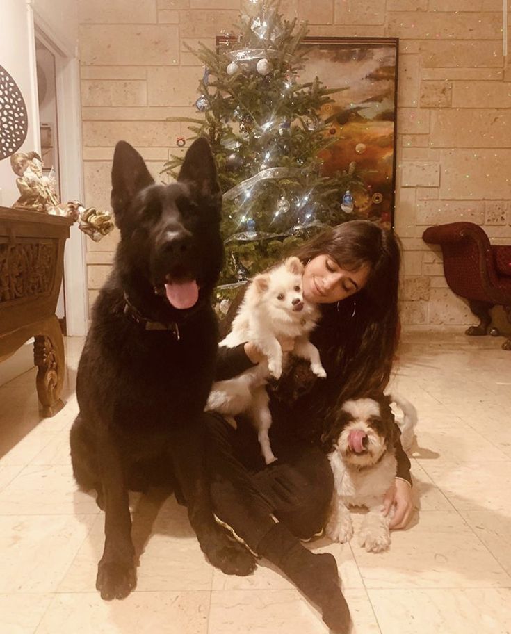 Laurmila Updates tweet media