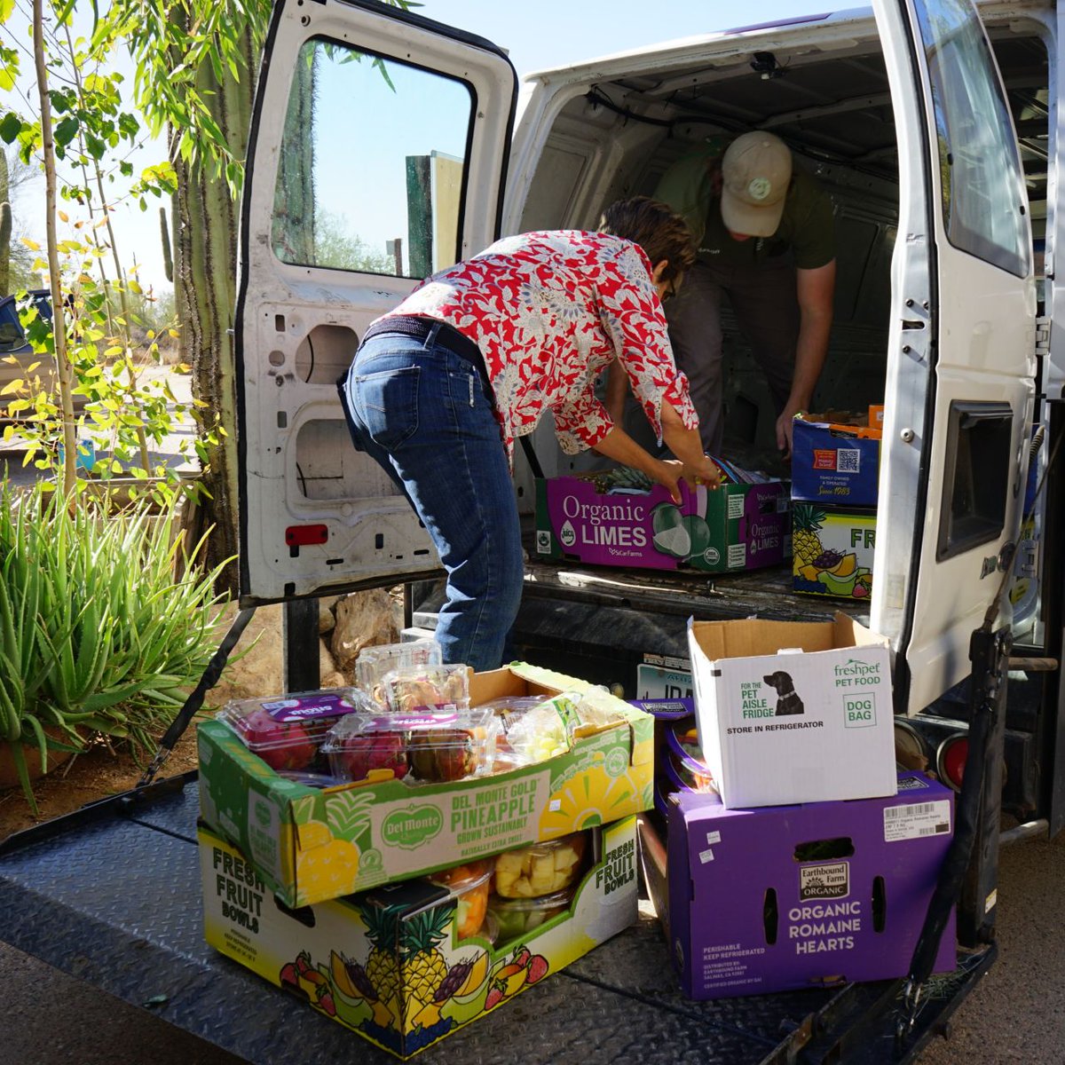 ArizonaDEQ's tweet image. Phoenix Herpetological Sanctuary is helping tackle #FoodWaste by partnering with local stores and restaurants to turn surplus produce into meals for their rescue animals 🥕 🌽 🍎

Produce that can’t be given to the animals is composted!

#EnvironnmentalStewardship #Composting