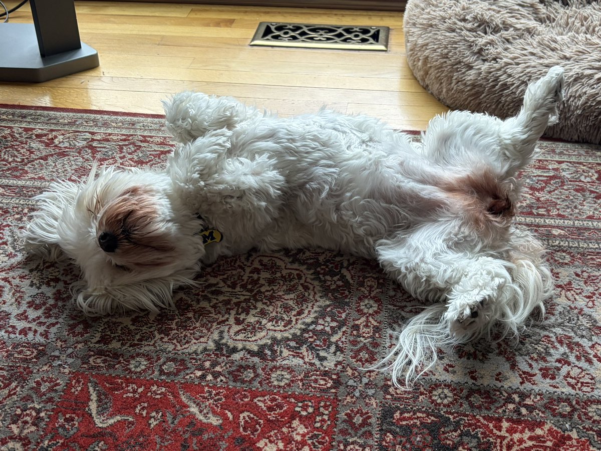 Stephen Chang tweet media