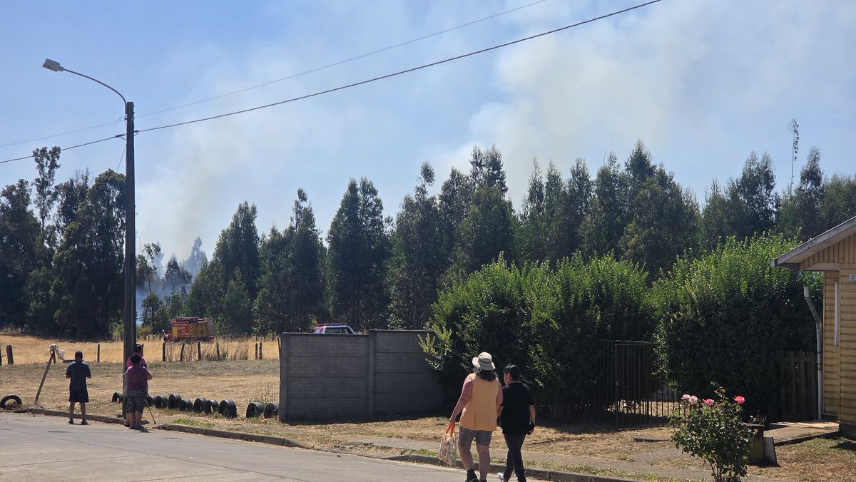 TefiConstanza's tweet photo. #pailahueque #ercilla 
Incendio aledaño a casas, han apagado con aviones pero aun sigue activo, muy buena respuesta de bomberos, nada que decir 👏🏽 @ErcillaInforma @araucanianews https://t.co/22Y6sP5YEe