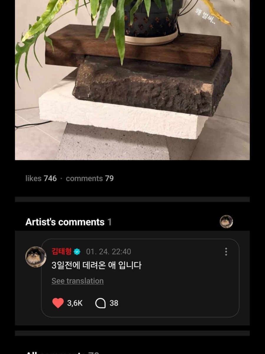 SONGÜL ÇOK ŞANSLISINNN🥹👏🏻