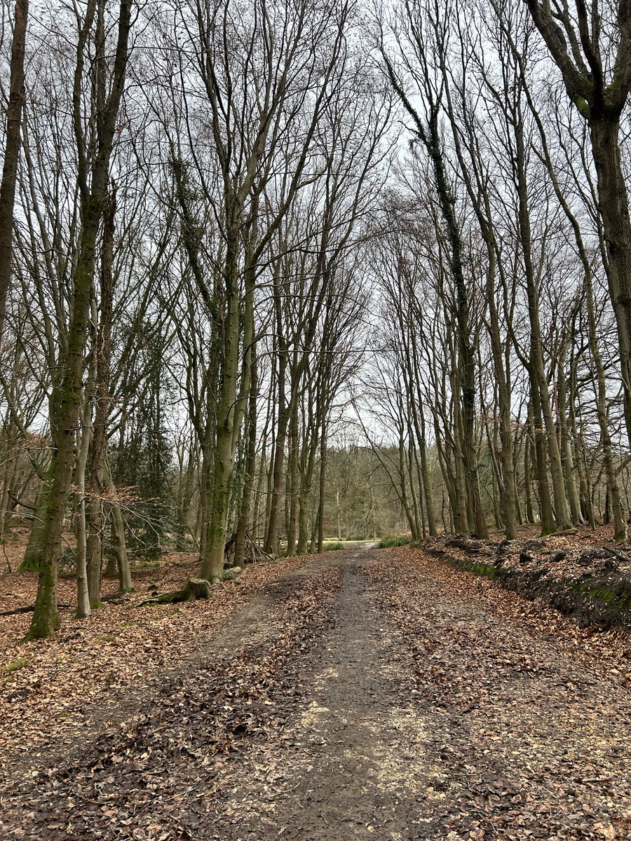 WSouthern_'s tweet photo. Dog walk and Côte to finish the day👍🏼 https://t.co/rk8NpjIAj5