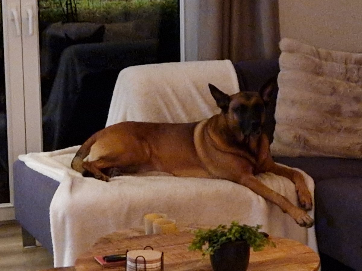 Just chilling on the couch 😁

#TeamMali