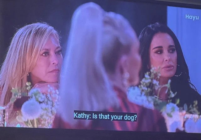 Kathy Hilton asked Amanda if Zion was her dog I know its not funny but I couldn't help but laugh a little bit.  Kathy didn't know but she showed the most Genuine authentic empathy once she learned it was Amanda's son.🫶 #RHOBH