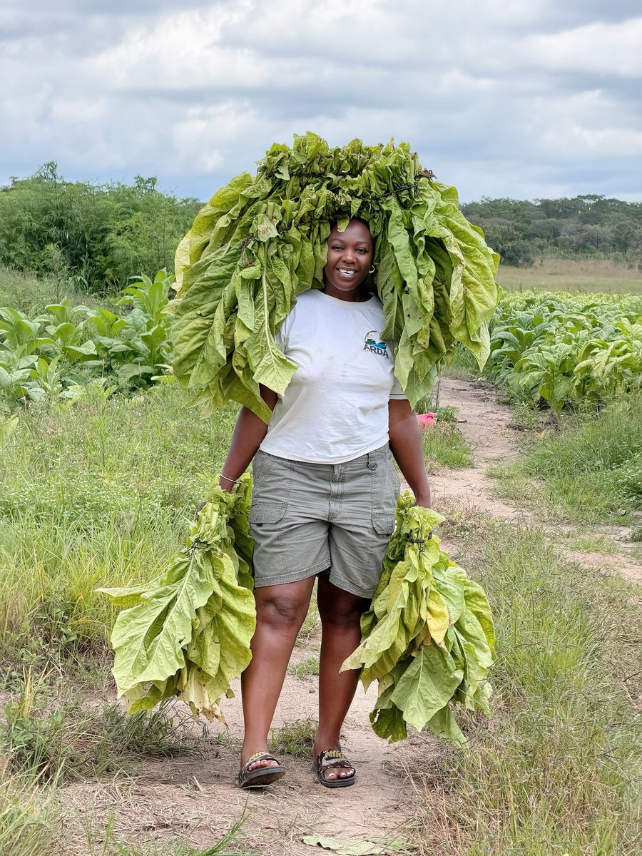 agribusiness1. tweet media