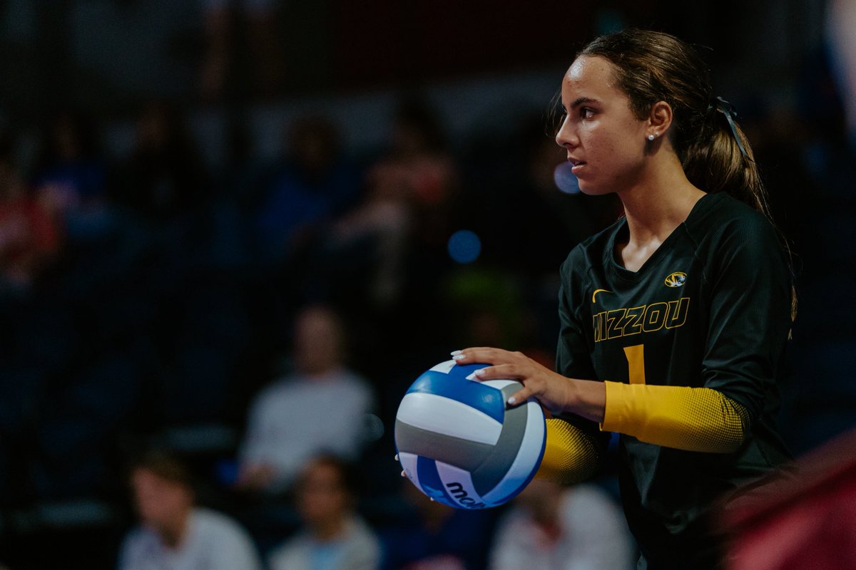 Mizzou Volleyball tweet media