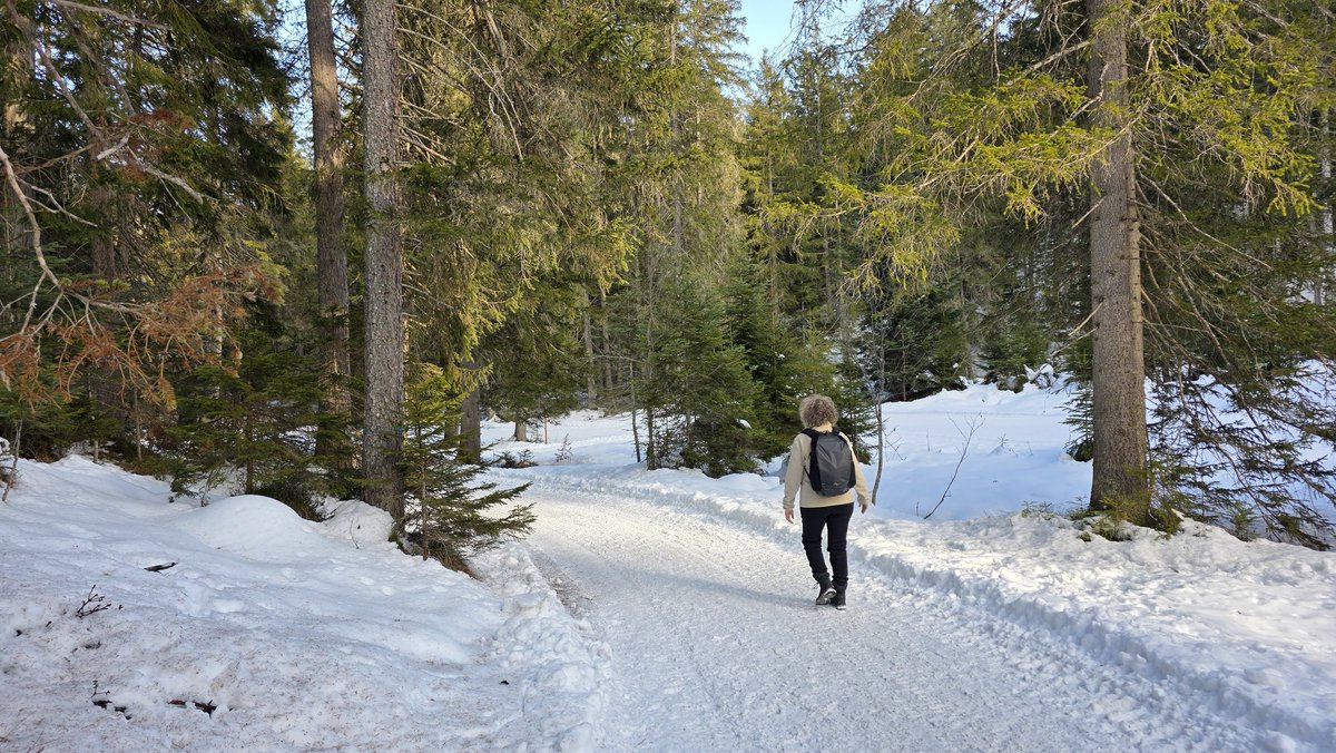 Wandelvrouw tweet media