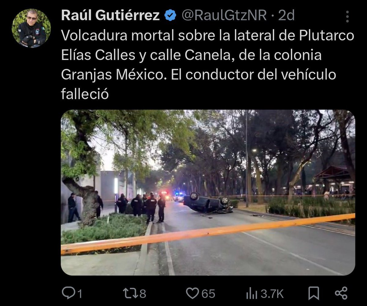 Peatón del sur tweet media