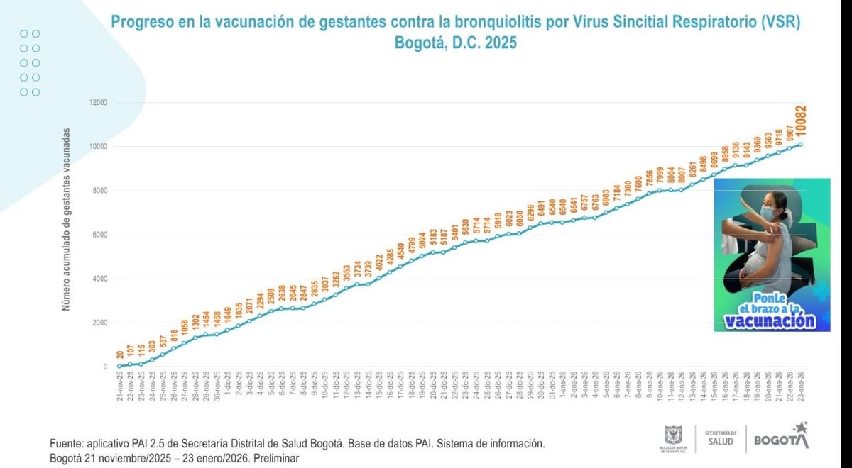 Gerson Bermont tweet media