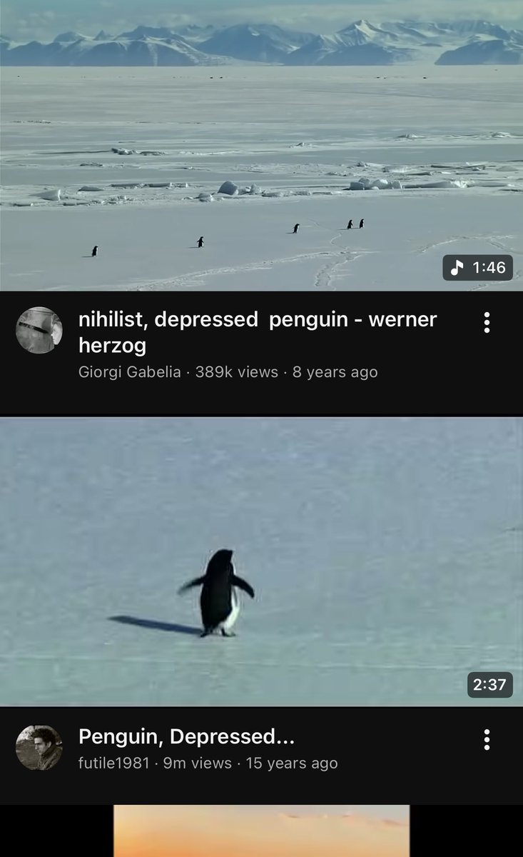Look here’s Elon talking about it and labelled Depressed Penguin

Look at all the og videos aswell calling it depressed penguin

Original name years ago + first ever coin on pumpfun about this penguin 

OG 30K Mcap - new cabal one 90m Mcap 

Once community forms here and a people
