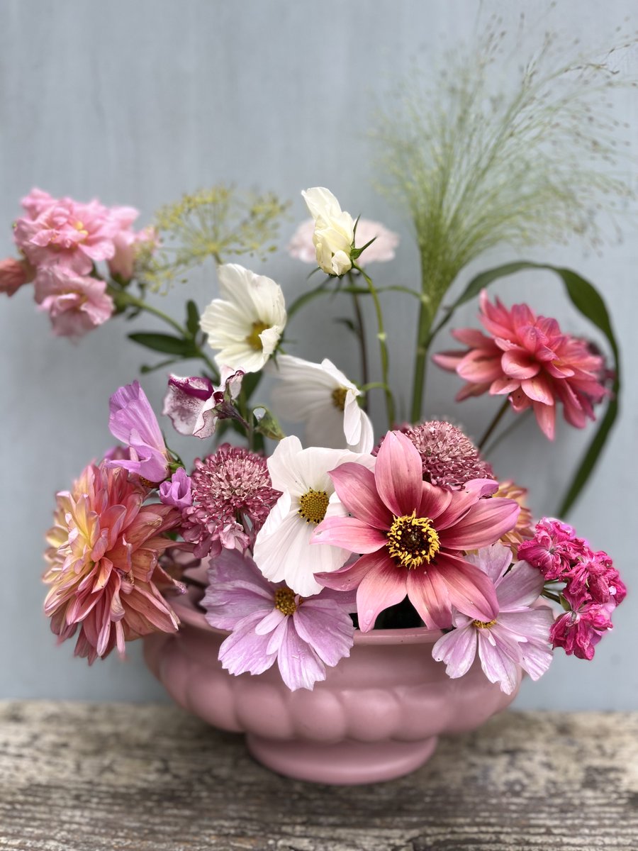 GardenBrocante's tweet image. Nice day here, no rain 🥳🥂🥳
I did a lot of weeding and flowerbed prep. I potted on some more seedlings and generally enjoyed faffing about in the garden! 
I hope you had an enjoyable day and enjoy your evening. Z xx